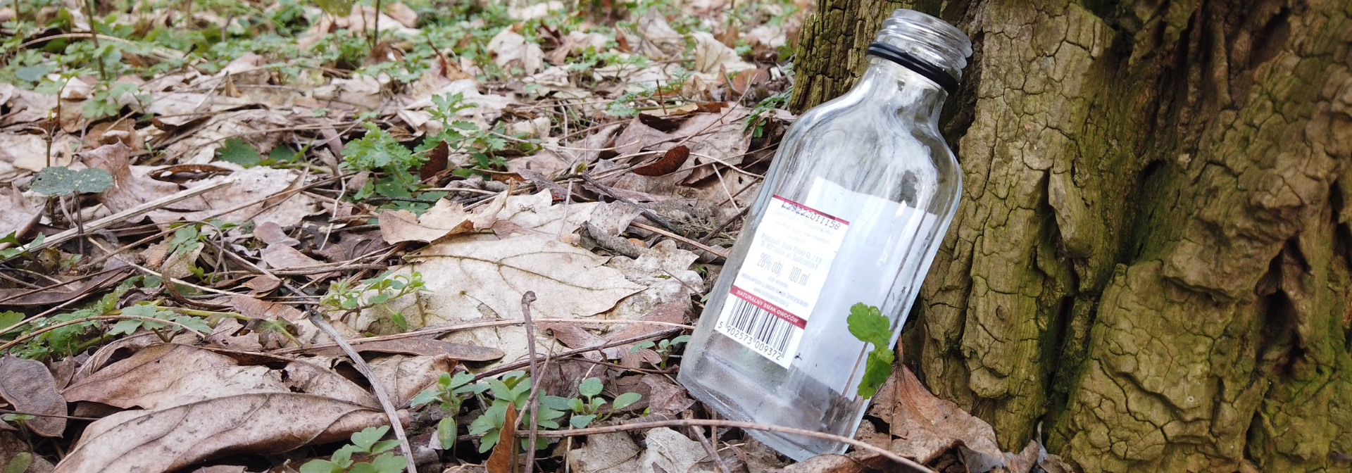butelka w lesie, śmieci w lesie. Blog Szukam w lesie, Mikołaj Basiński