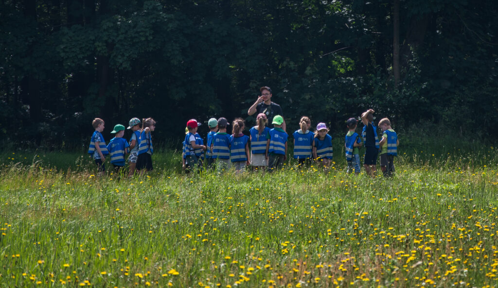 edukacja ekologiczna , zajęcia przyrodnicze dla dzieci, Szukam w lesie, organizowane przez Mikołaja Basińskiego