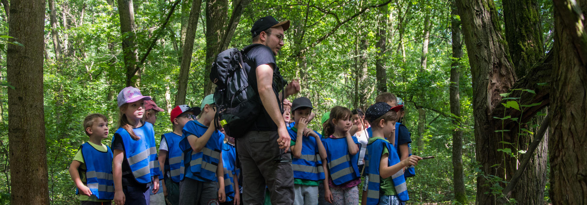 edukacja ekologiczna , zajęcia przyrodnicze dla dzieci, Szukam w lesie, organizowane przez Mikołaja Basińskiego